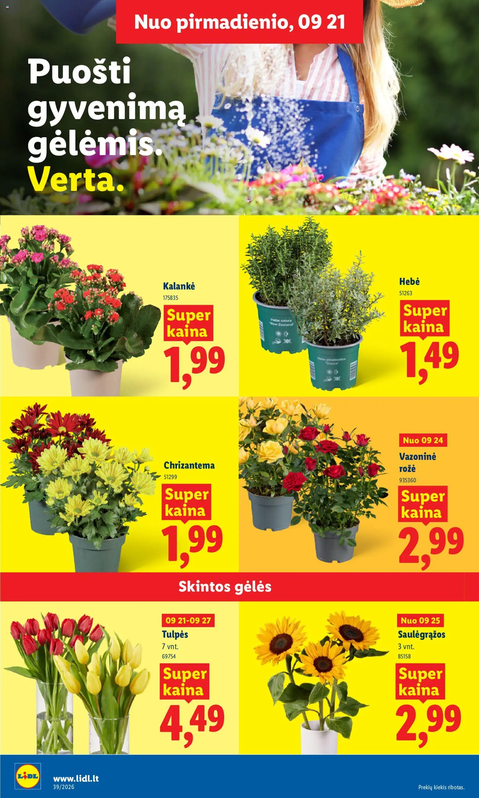 LIDL akcijos nuo 2026.09.21 | Puslapis: 16