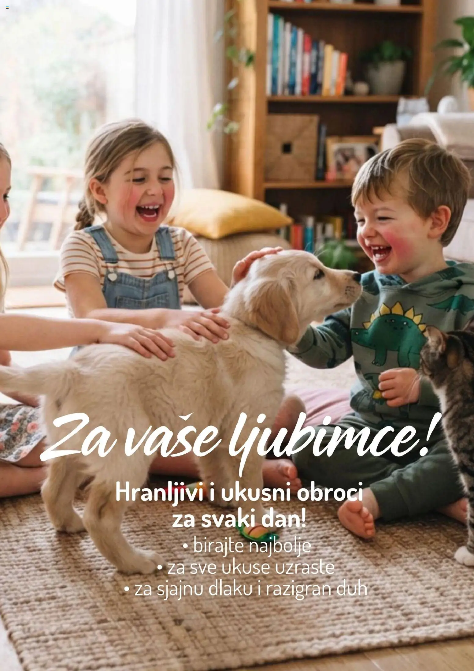Aman katalog - važi od 12.10.2026 | Strana: 42