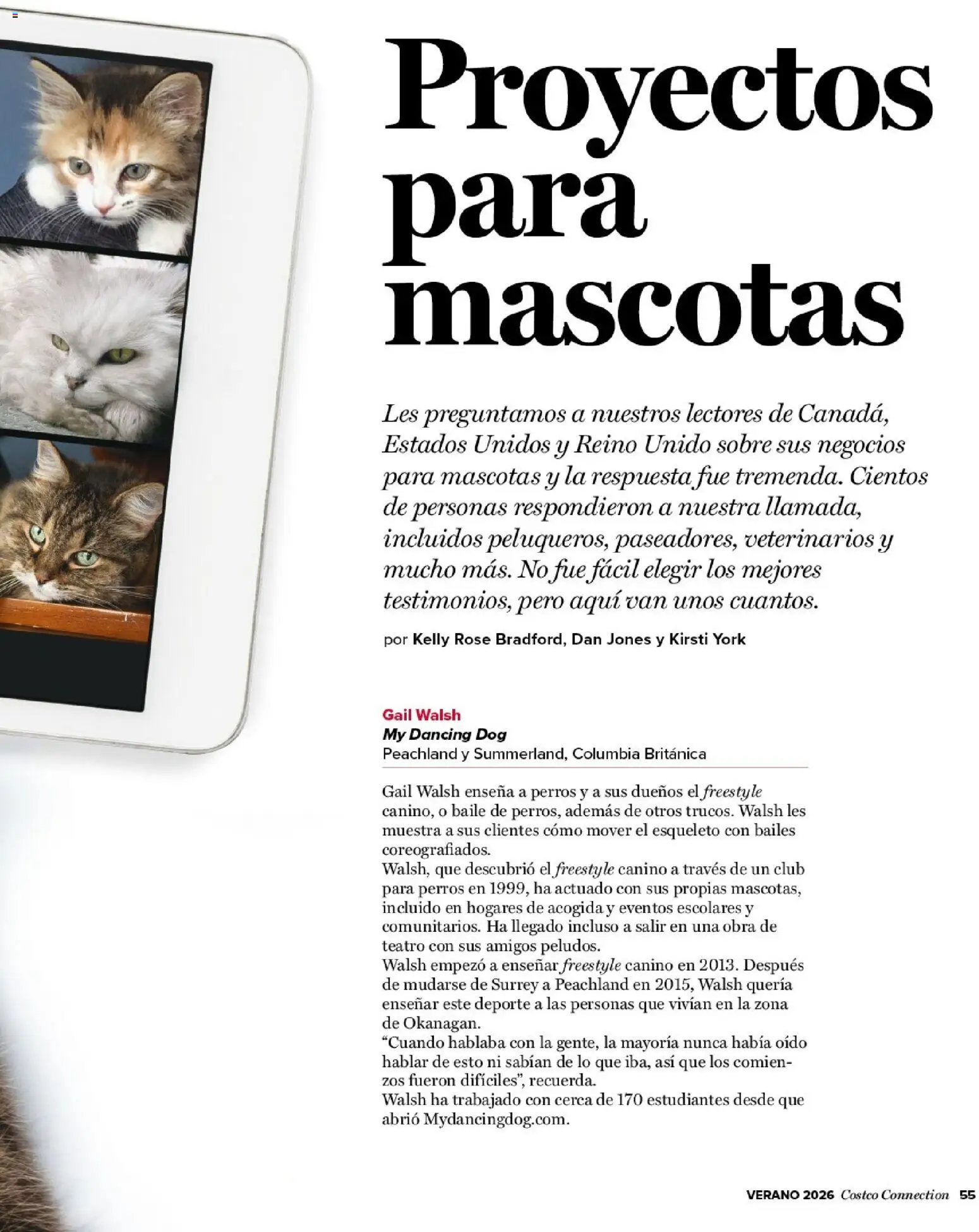 Costco catálogo │ válido desde el 15.06.2026 | Página: 55