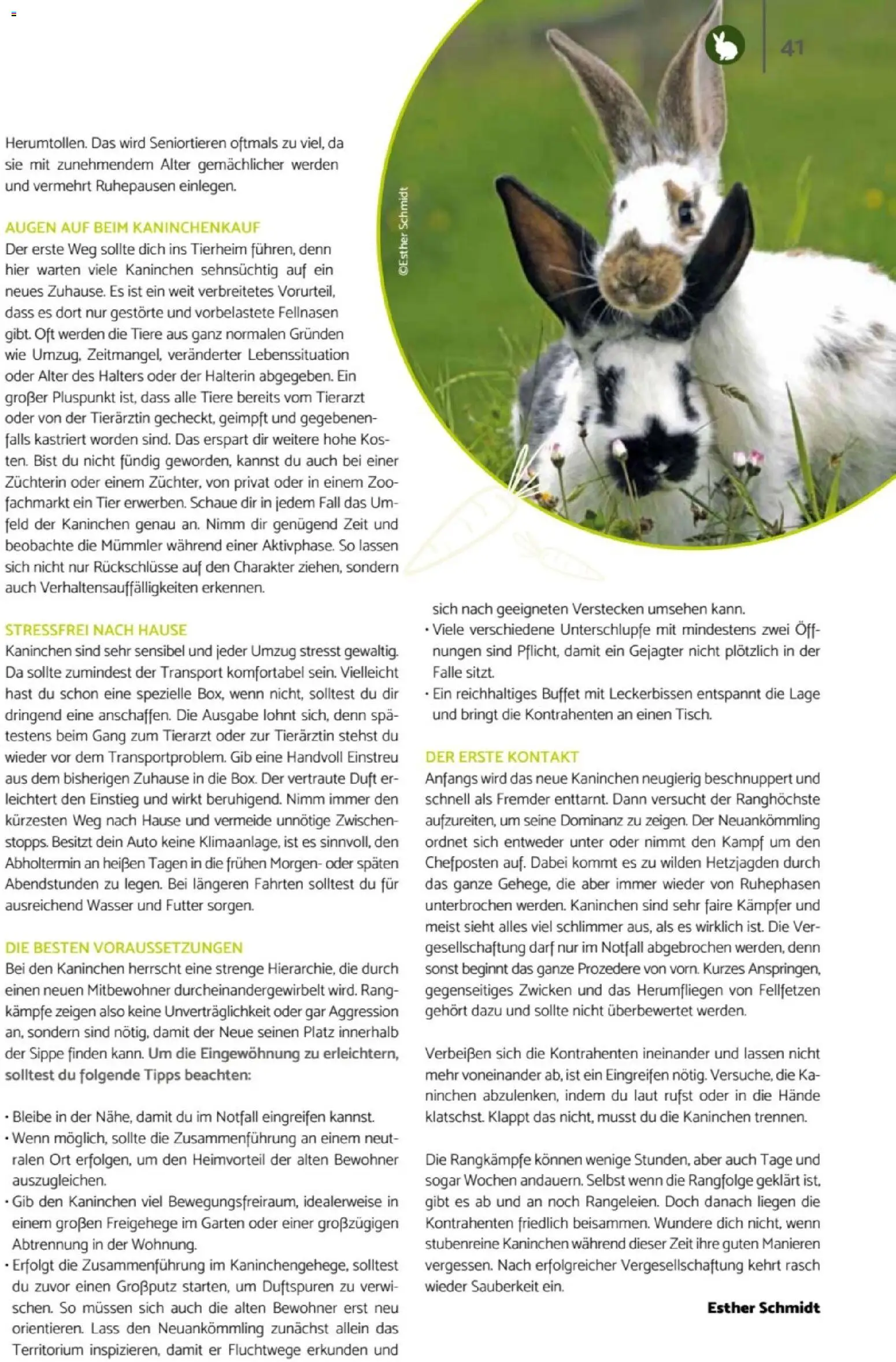 zookauf Heimtier Journal – gültig ab 01.07.2026 | Seite: 41 | Produkte: Kaninchen, Duft, Wasser