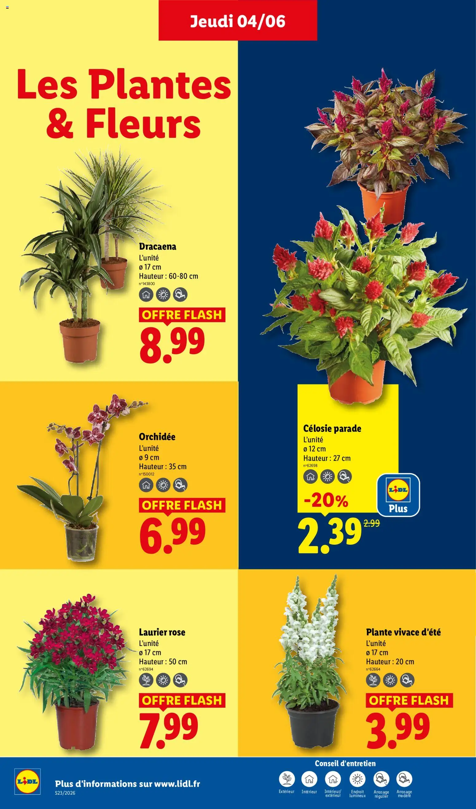 {H1} | Page: 26 | Produits: Laurier Rose, Plantes, Orchidée