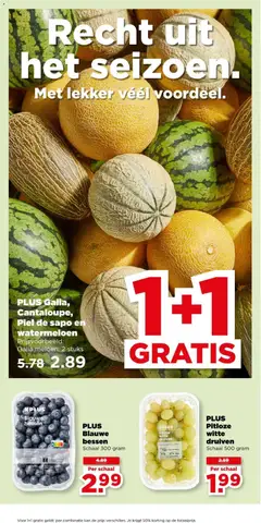 PLUS Galia, Cantaloupe, Piel de sapo en watermeloen, Galia meloen, 2 stuks - Voorbeeld van een folder van Plus, geldig van 08-07-2026 | Pagina: 22 | Producten: Kan, Schaal, Watermeloen, Druiven