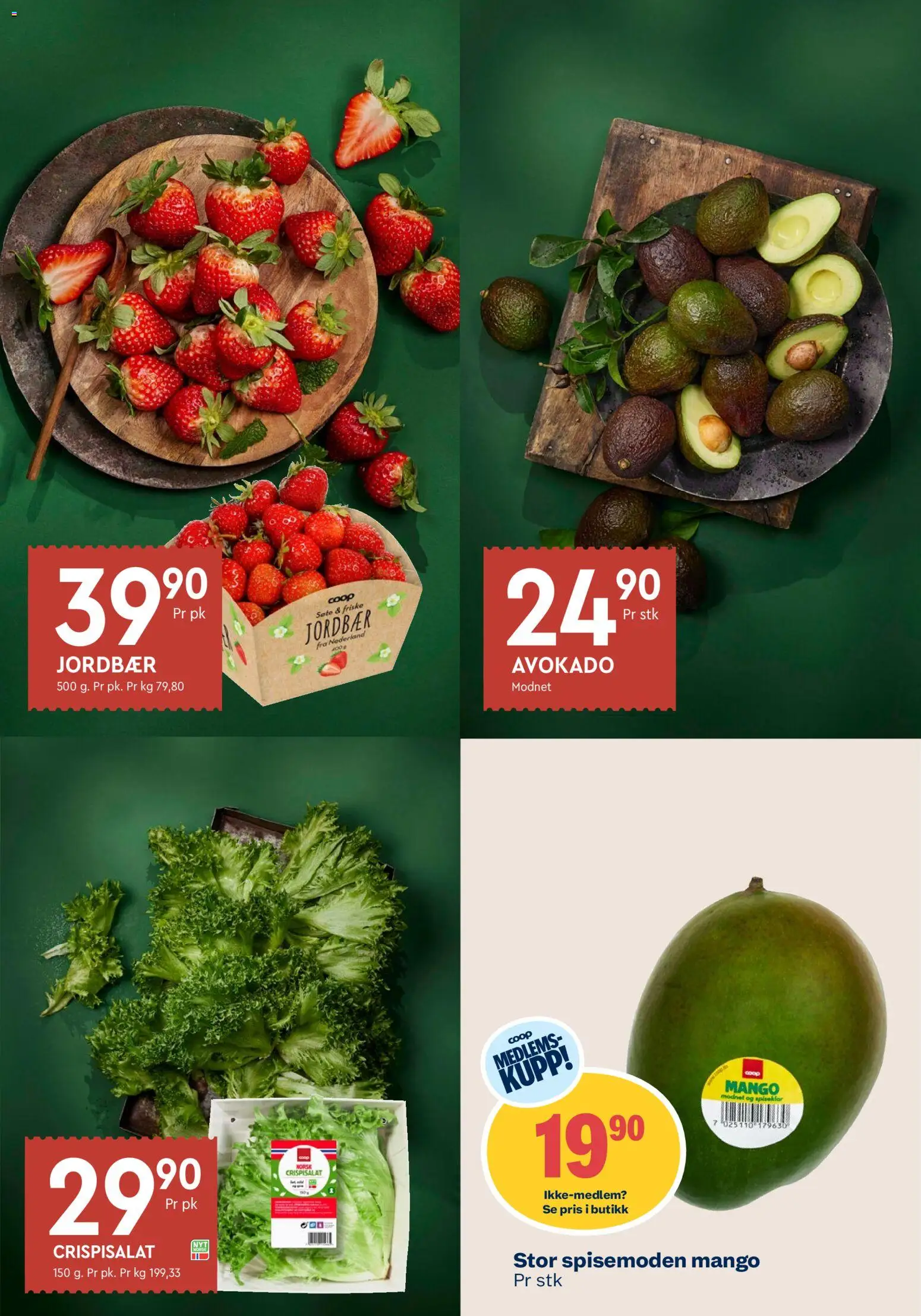 {H1} | Side: 9 | Produkter: Jordbær, Avokado, Mango, Crispisalat