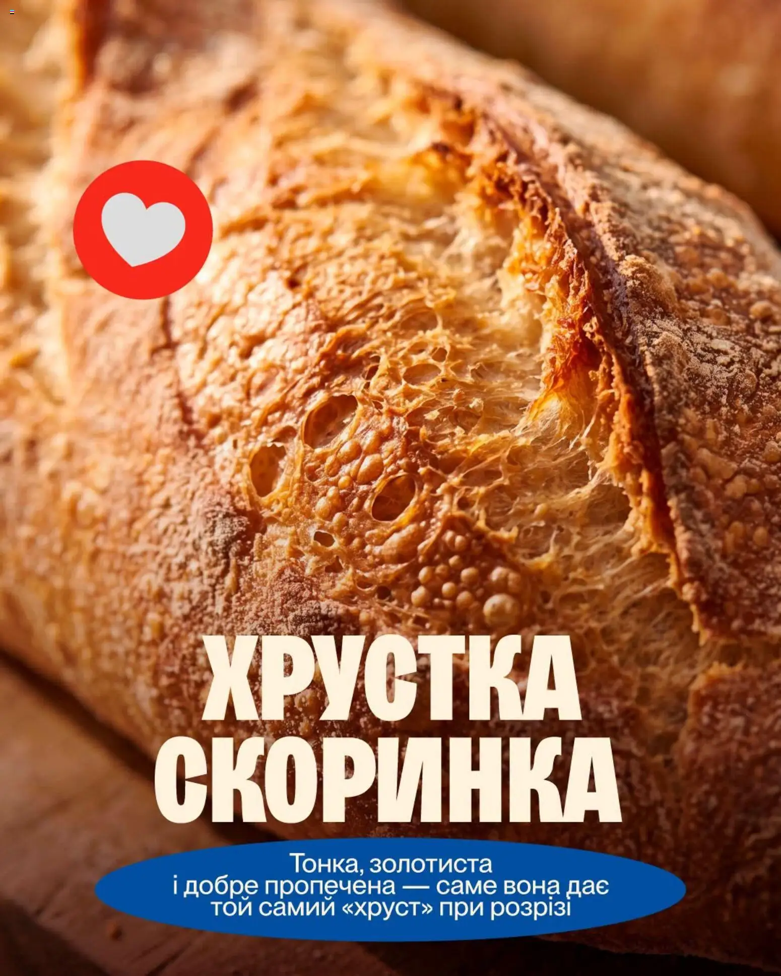 Фора Kаталог - дійснийкції з 30.06.2026 | Сторінка: 3