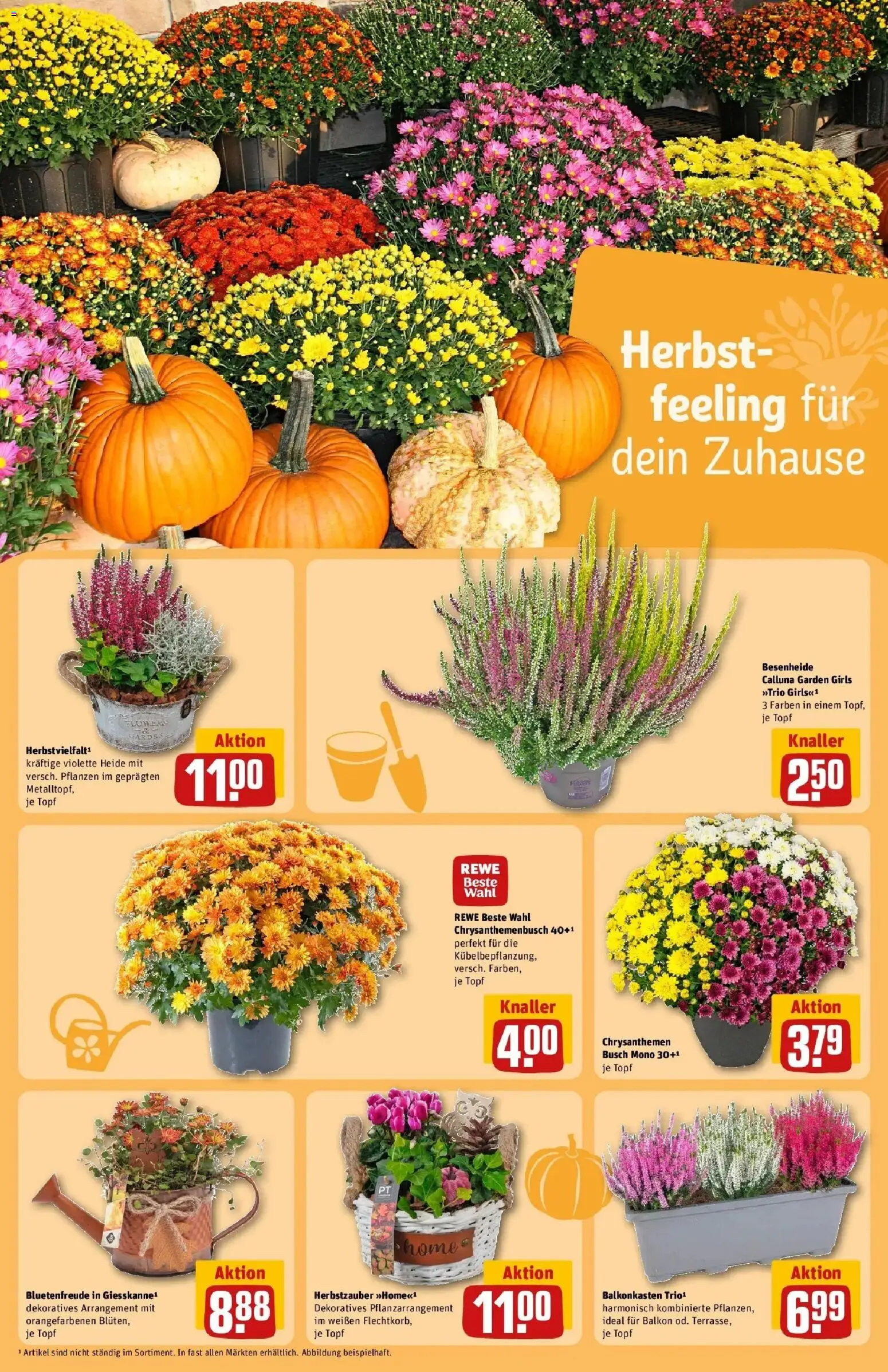 REWE Prospekt ab 21.09.2026 zum Blättern » Angebote | Seite: 26