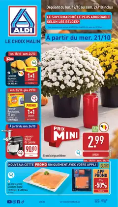 Aldi folder semaine 42 - Voorbeeld van een folder van Aldi, geldig van 19/10/2026