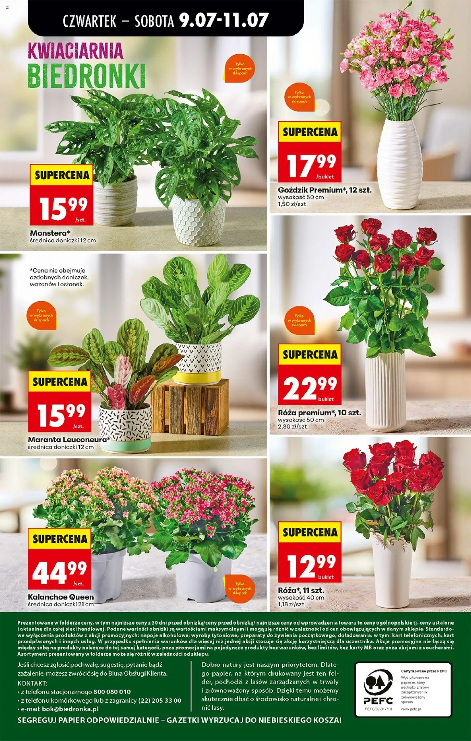 Biedronka gazetka od czwartku od 09.07.2026 | Strona: 80 | Produkty: Napoje, Goździk, Doniczki, Kalanchoe