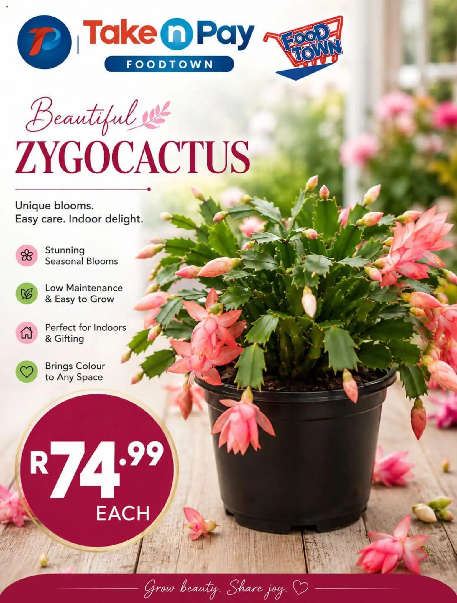 New Take n Pay catalogue – valid from 28/08/2026 | Page: 1