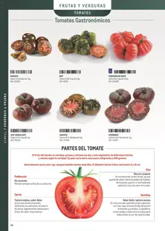 Vista previa Makro Especial Carta y Menú válido desde el 06/07/2026 | Página: 66 | Productos: Verduras, Chocolate, Tomate, Peso