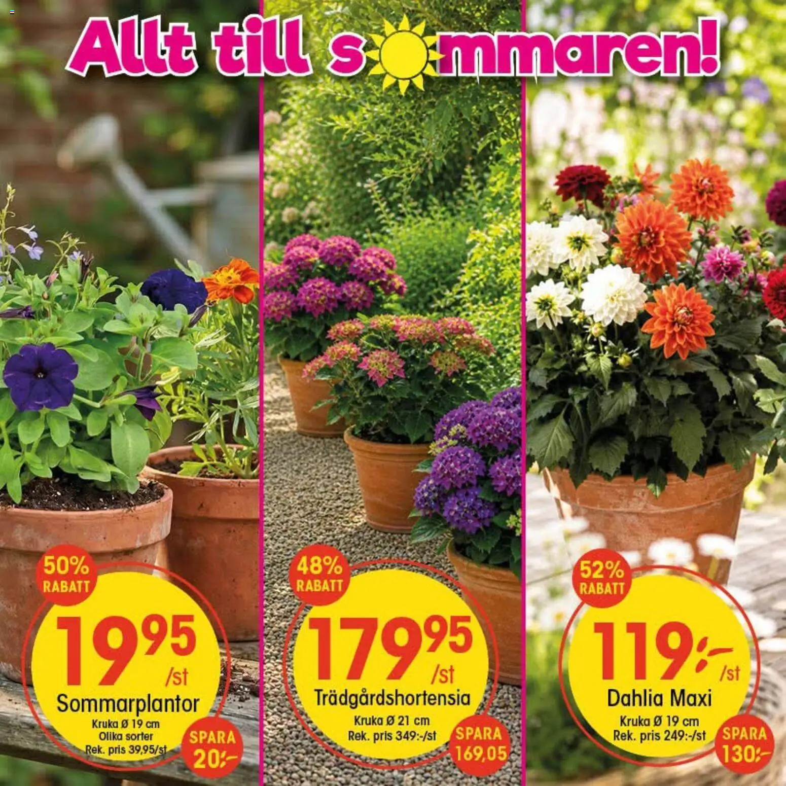 EKO reklamblad aktuell från 23/06/2026 | Sida: 1 | Produkter: Kruka