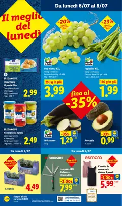Anteprima del volantino Uva bianca XXL, 1250 g confezione, Formato base 1 kg a 3.99 €, 1 kg = 3.99/3.19 € valido a partire dal 02/07/2026 | Pagina: 48