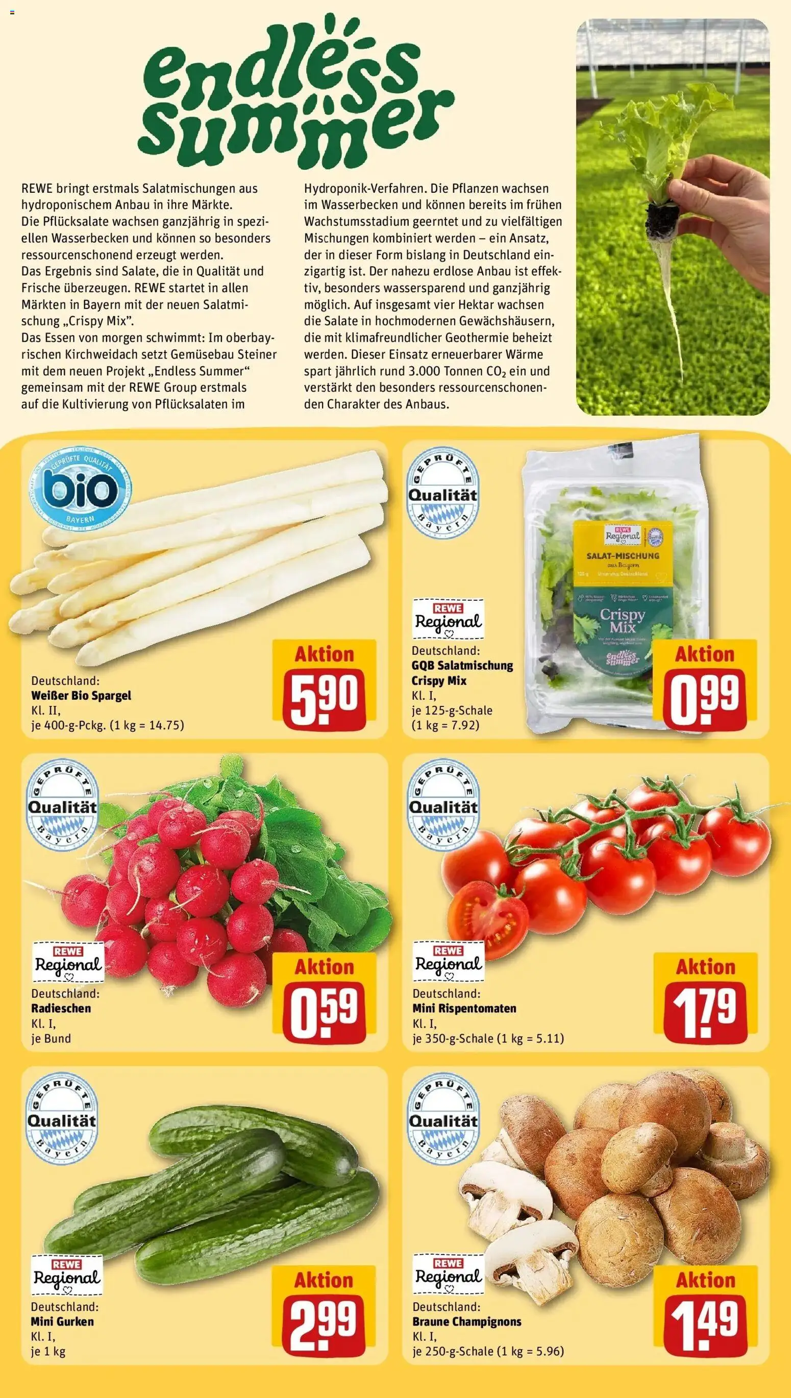 Rewe Prospekt Wilhermsdorf	 – gültig ab 27.04.2026 | Seite: 20 | Produkte: Spargel, Champignons, Gurken
