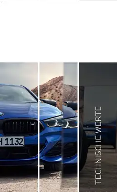 BMW 8er Coupé & Cabriolet ab 01.07.2025 gültig | Seite: 16 | Produkte: BH