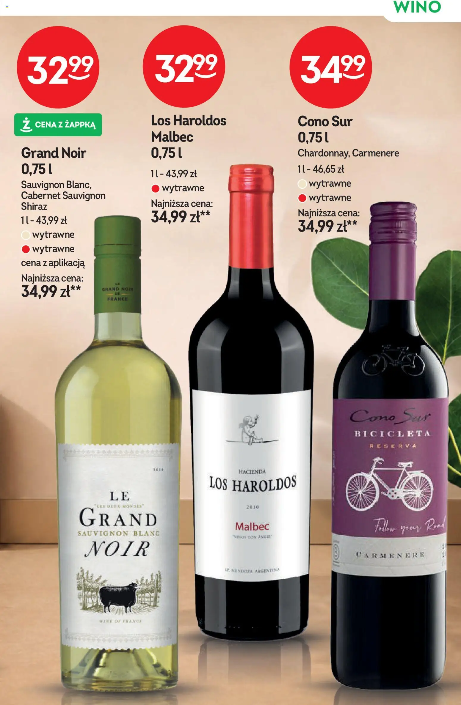 Żabka gazetka - Katalog win od 02.09.2026 | Strona: 11 | Produkty: Wino, Sauvignon Blanc