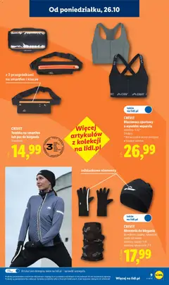 Pogląd oferty "Lidl Katalog" - ważna od 26.10.2026 | Strona: 13
