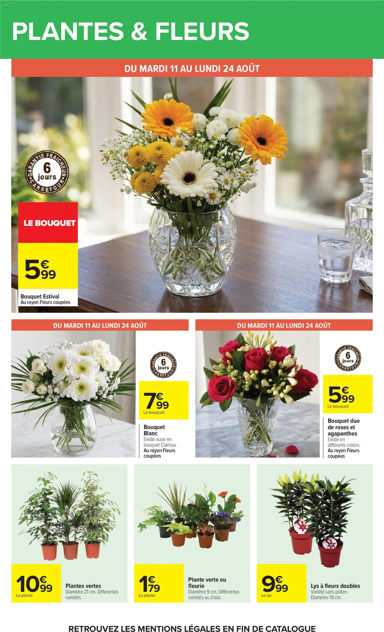 {H1} | Page: 54 | Produits: Plantes, Bouquet de roses, Plante verte