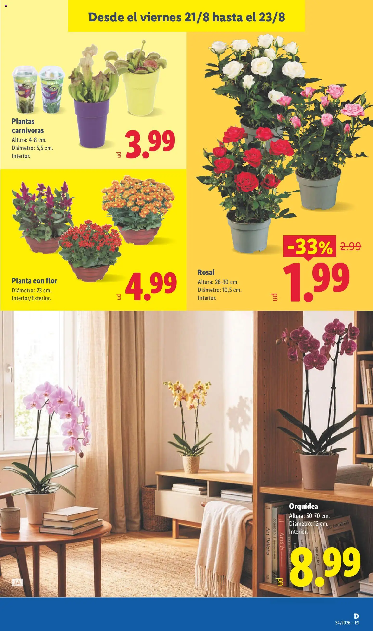 Lidl folleto │ válido desde el 17/08/2026 | Página: 49 | Productos: Orquídea
