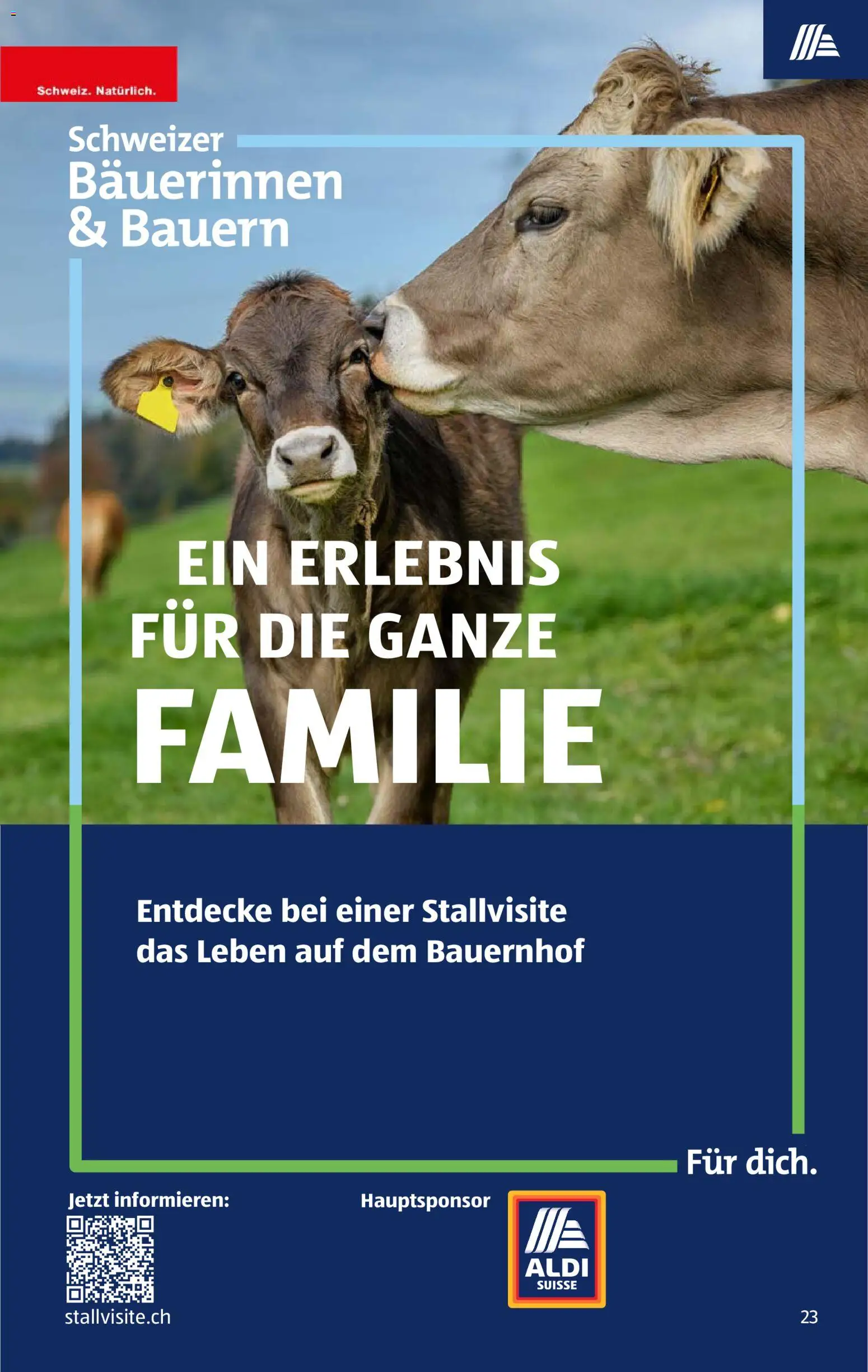 Aldi aktionen – gültig ab 03.09.2026 | Seite: 23
