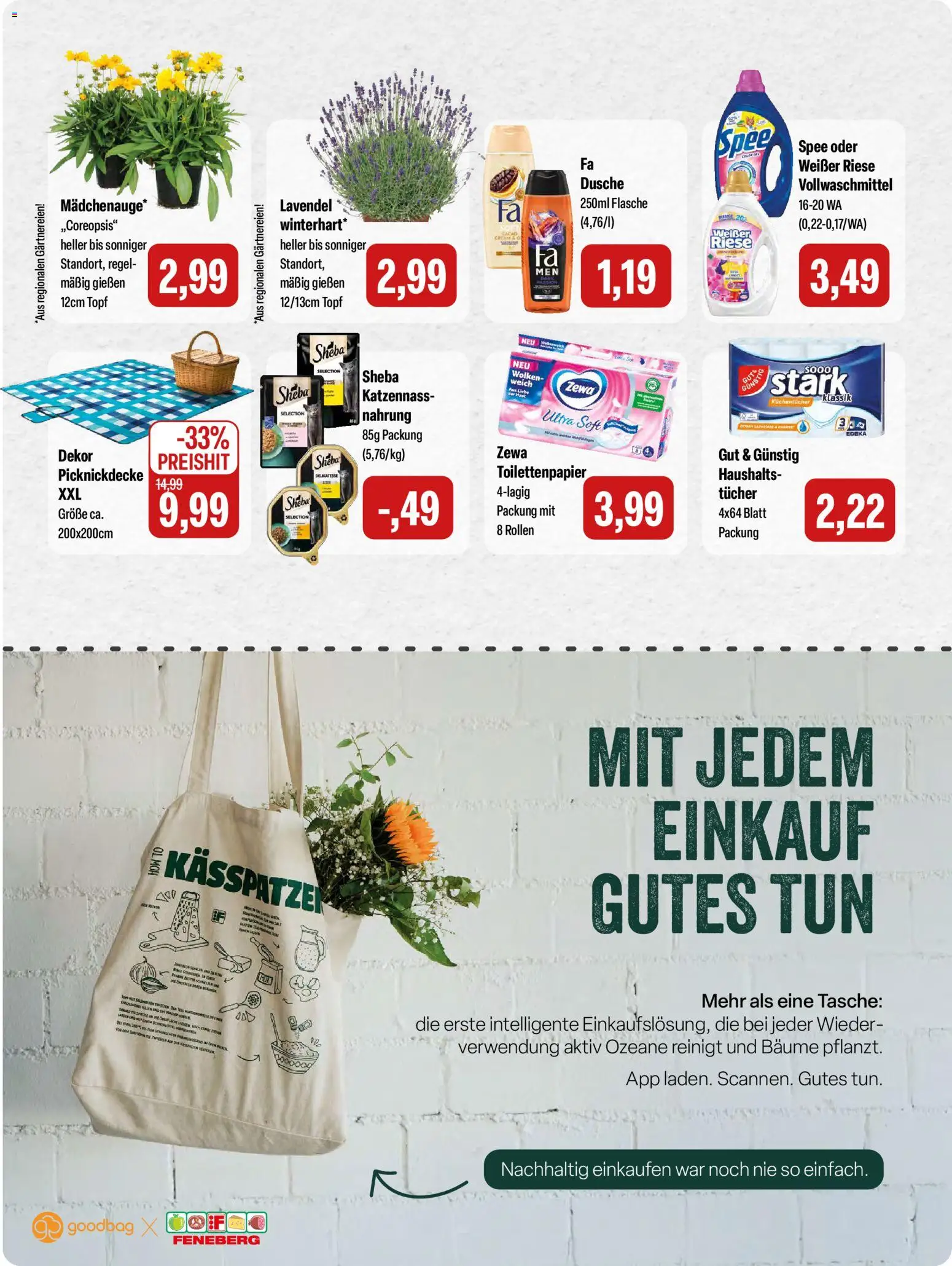 Feneberg Angebote – gültig ab 18.06.2026 | Seite: 15 | Produkte: Öl, Zewa, Spee, Toilettenpapier