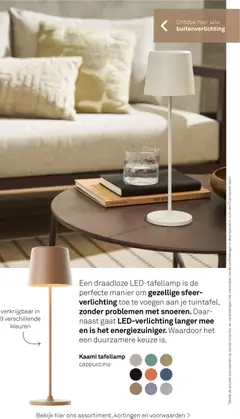 KARWEI folder - Tuin special - decoratief - Voorbeeld van een folder van KARWEI, geldig van 01.03.2026 | Pagina: 41 | Producten: Verlichting, Cappuccino