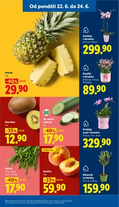 Náhled letáku Orchidej v keramice, Orchidej v keramice Ø 12 cm, ↑ 60 cm od 22.06.2026 | Strana: 9