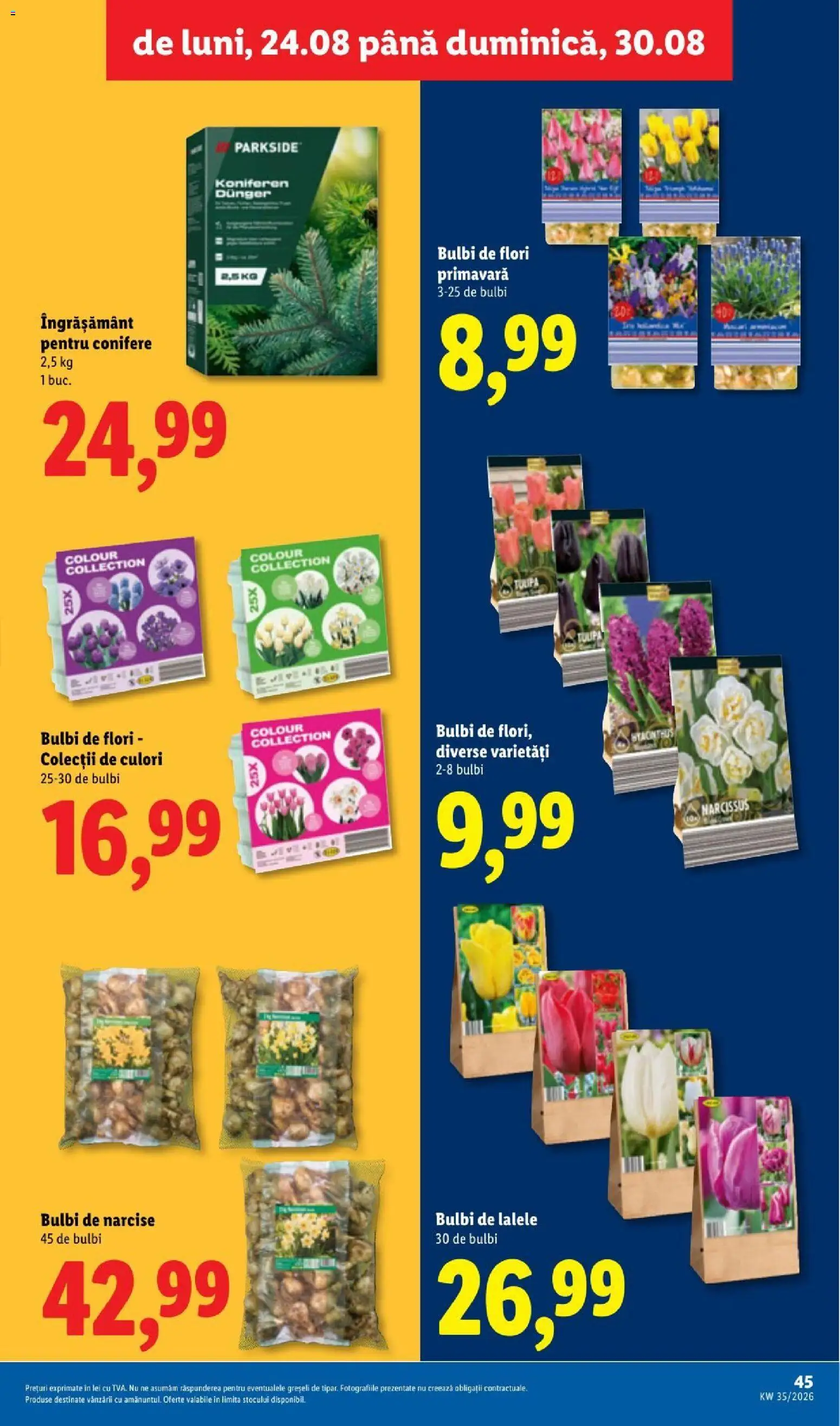 Noul catalog Lidl – valabil de la 24.08.2026 | Pagină: 45 | Produse: Parkside, Flori