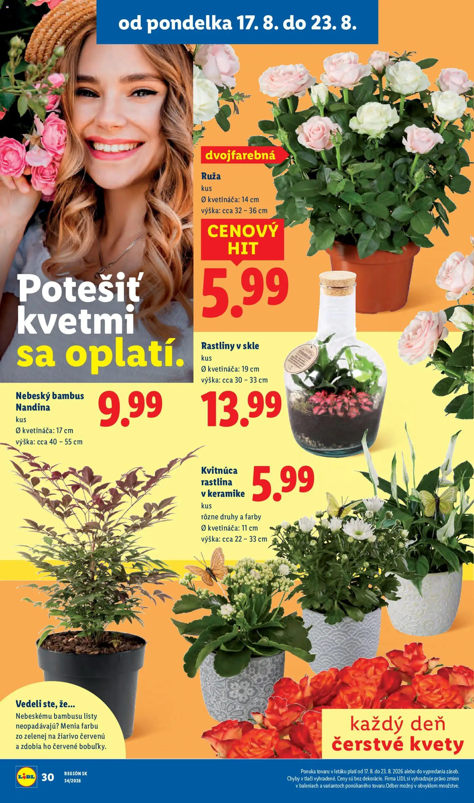 Nové Lidl akcie – leták je platný od 17.08.2026 | Strana: 42 | Produkty: Kvety
