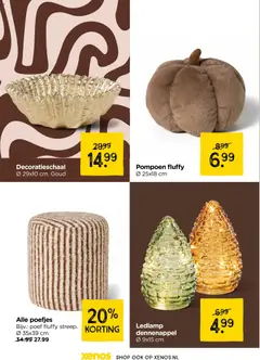Xenos folder - Voorbeeld van een folder van Xenos, geldig van 04-10-2026 | Pagina: 14 | Producten: Pompoen, Ledlamp