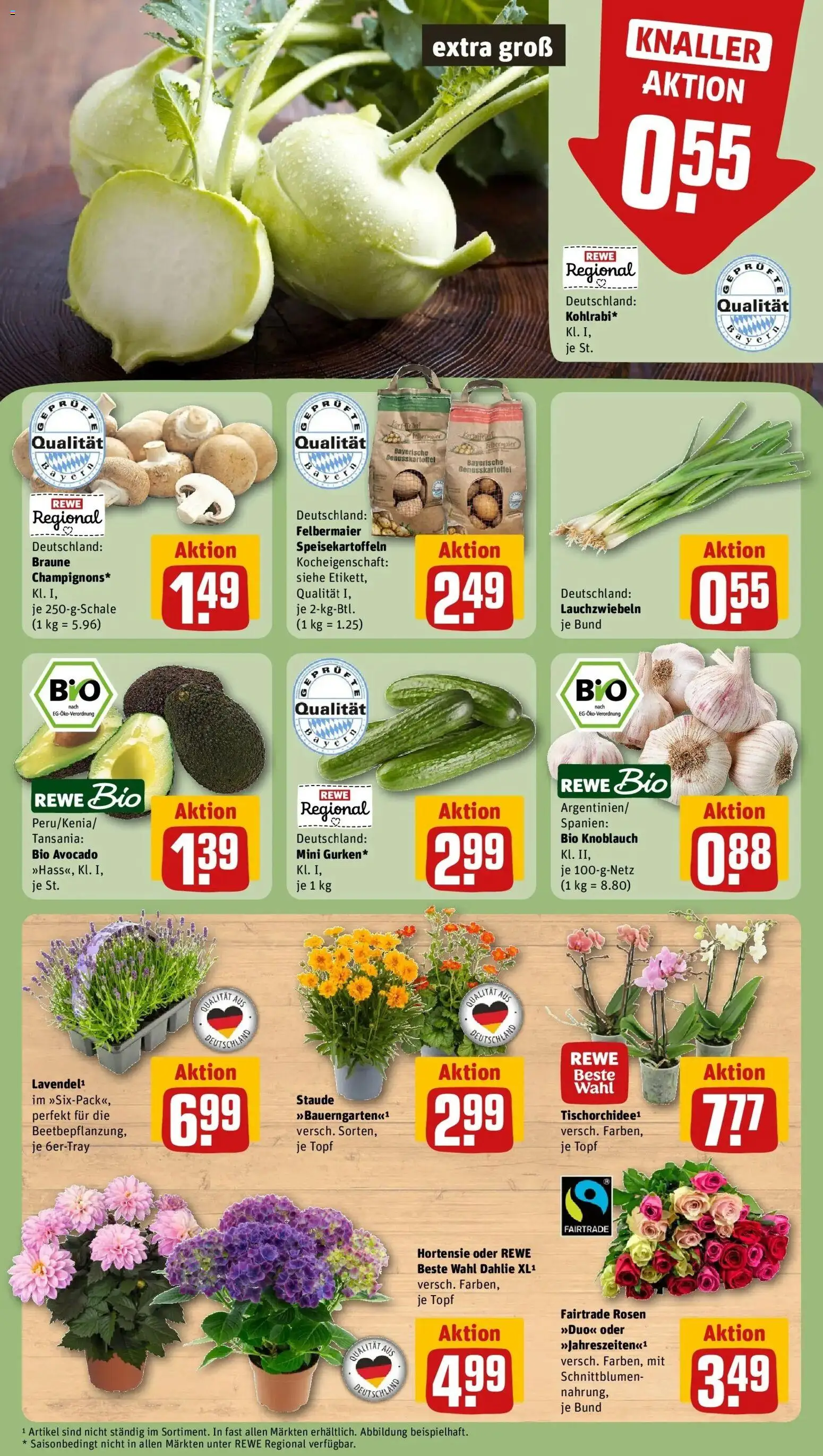 Rewe Prospekt München – gültig ab 29.06.2026 | Seite: 9 | Produkte: Hortensie, Avocado, Knoblauch