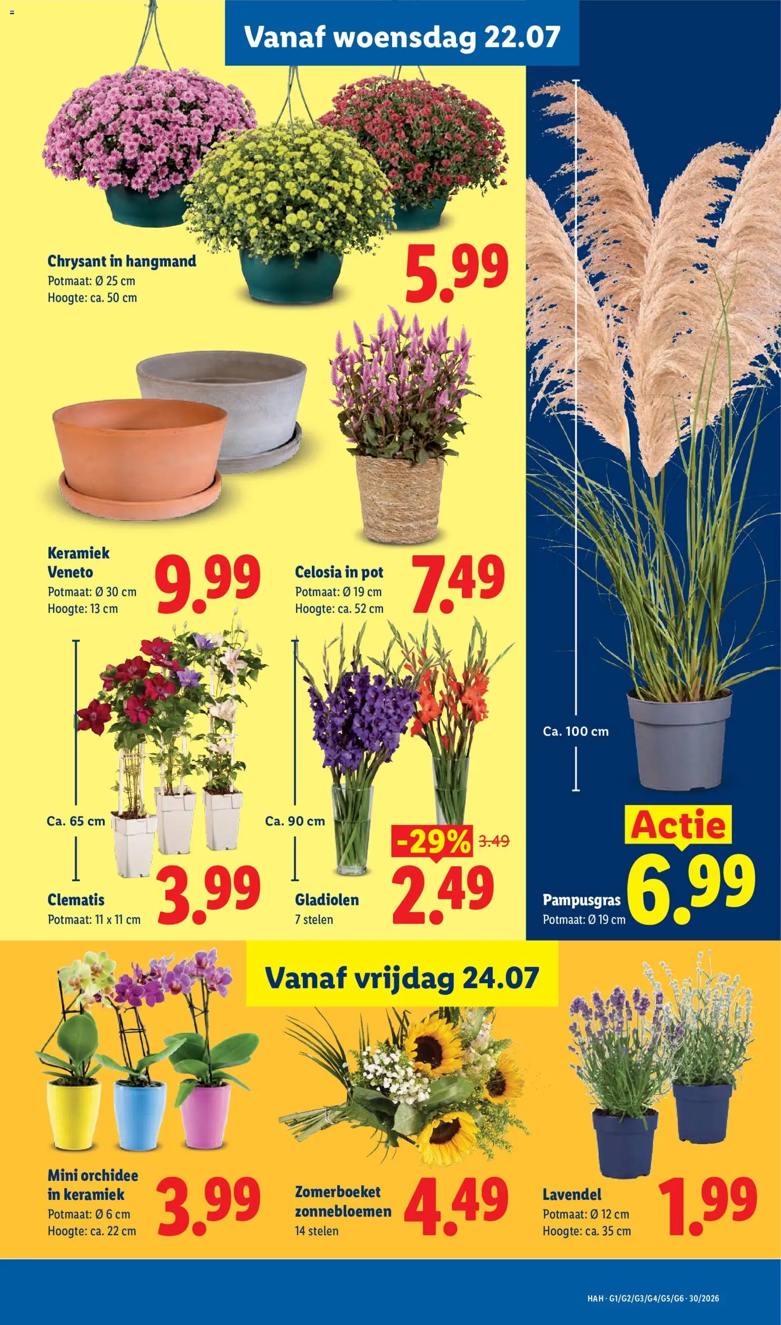 {H1} | Pagina: 14 | Producten: Pot, Orchidee, Keramiek