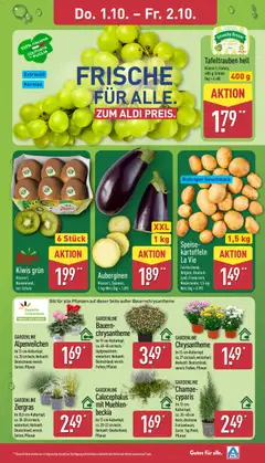 HILCONA Pasta-Vorratspack, Frisch; versch. Sorten, z. B. Tortelloni 4 Formaggi oder Gnocchi; 750-g-Packung ab 28.09.2026 gültig | Seite: 29