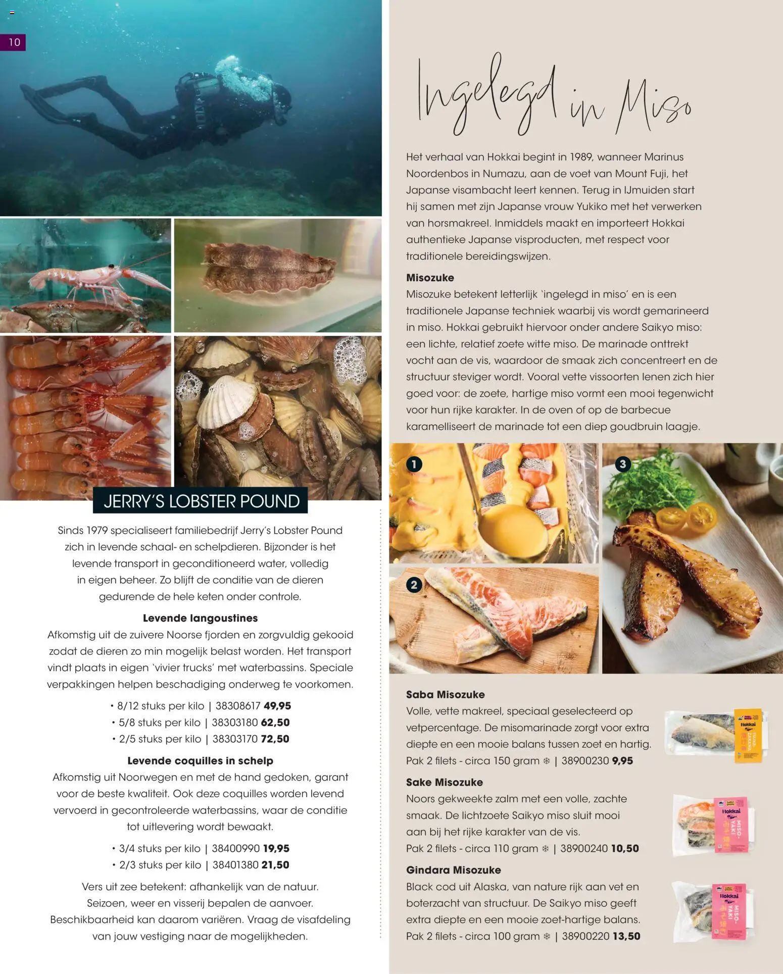 {H1} | Pagina: 10 | Producten: Kan, Zalm, Oven, De oven