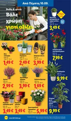 Φυλλάδιο Lidl - Προεπισκόπηση φυλλαδίου από το κατάστημα Lidl,  σε ισχύ από 10/09/2026 | Σελίδα: 38