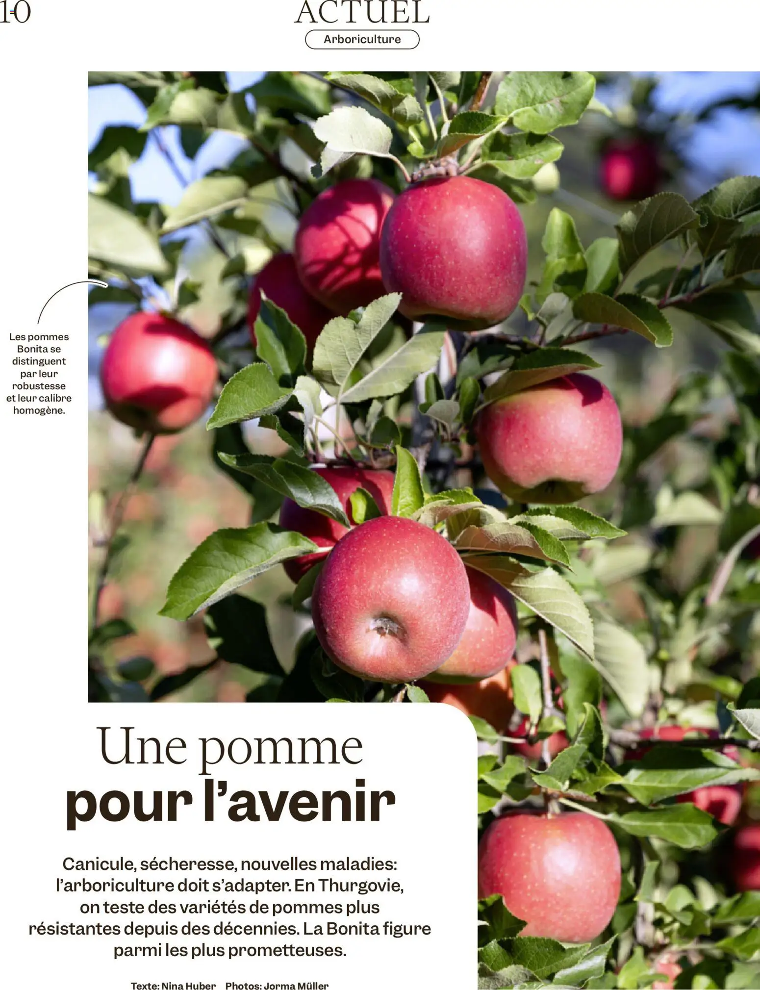Migros aktionen Magazine FR – gültig ab 21.10.2026 | Seite: 10