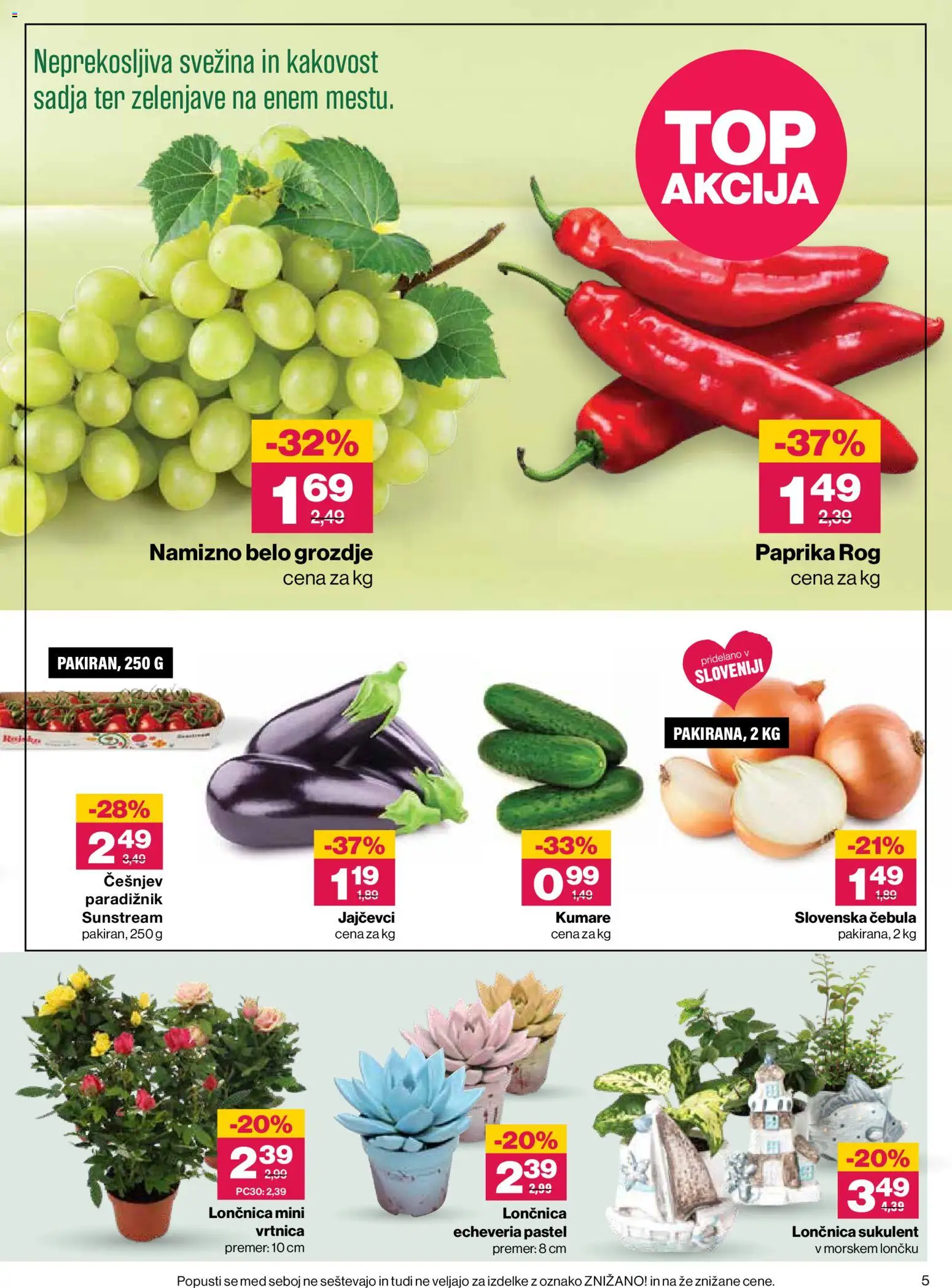 Novi Mercator katalog ponudbe – veljaven od 20.08.2026 | Stran: 5 | Izdelki: Grozdje, Med, Paprika, Češnjev paradižnik