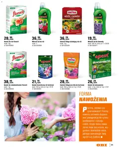 Pogląd oferty "OBI gazetka - Ogród" - ważna od 11.03.2026 | Strona: 171 | Produkty: Róż