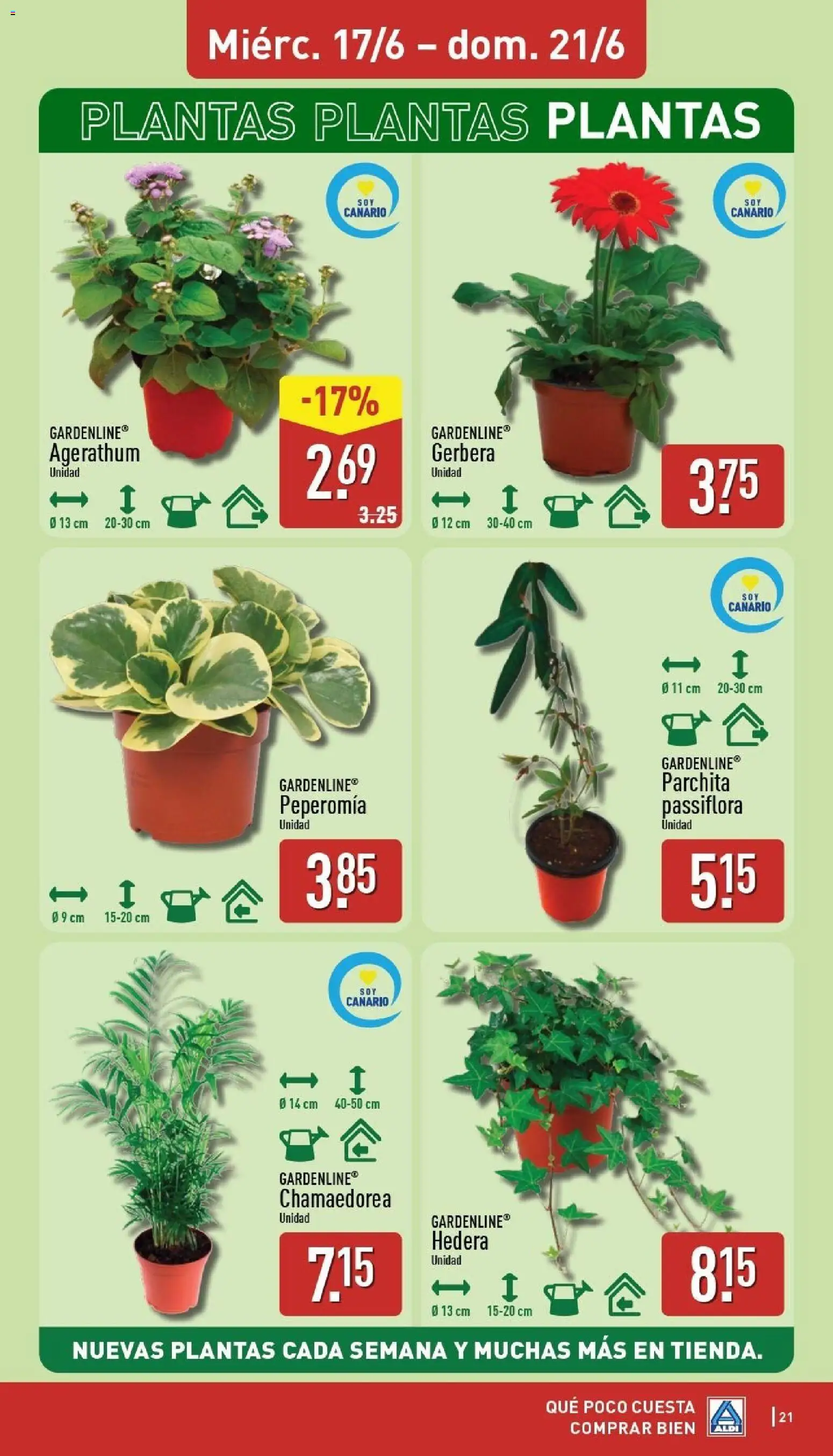 Aldi folleto Canarias │ válido desde el 15.06.2026 | Página: 21