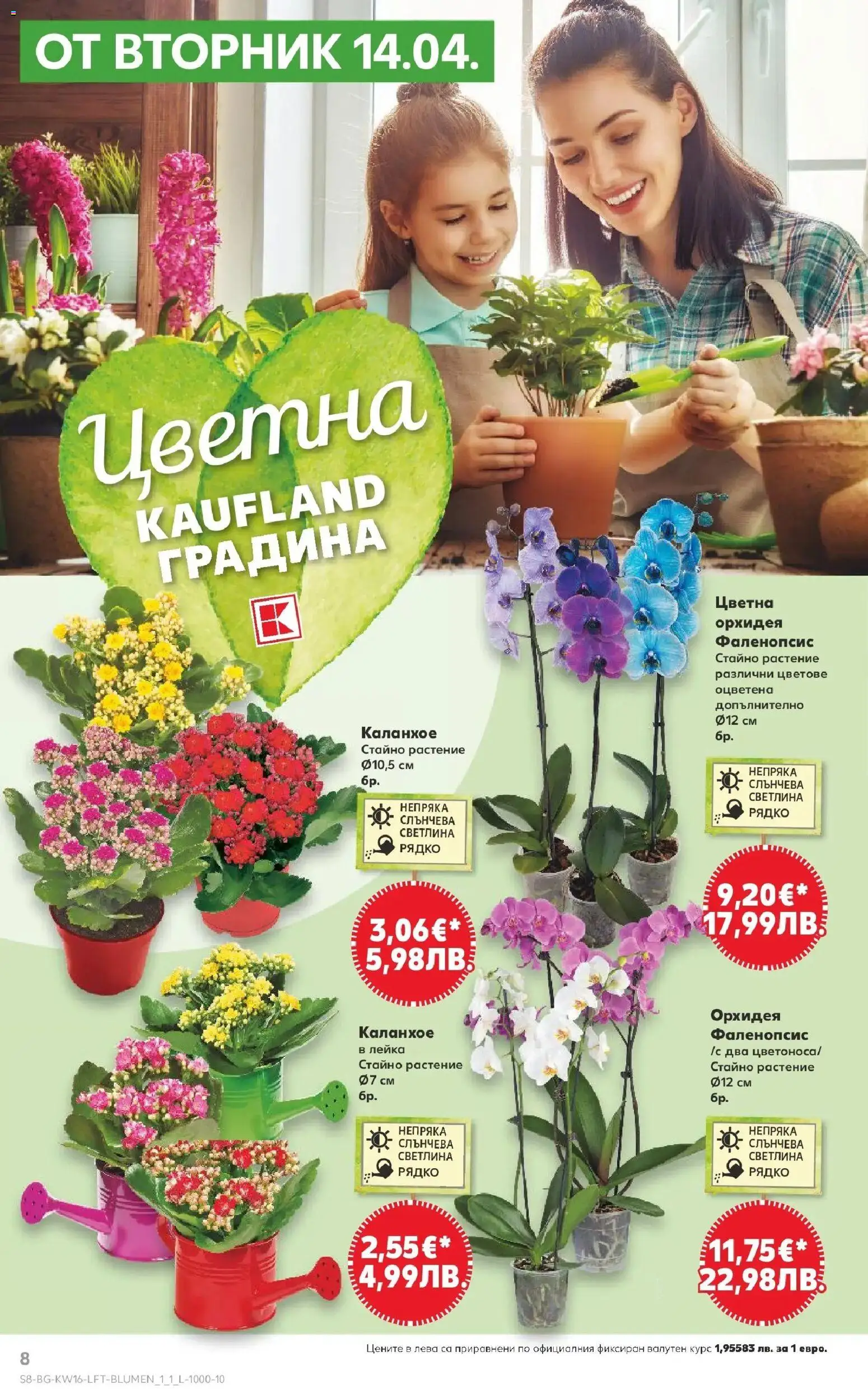 {H1} | Страница: 8 | Продукти: Орхидея, Лейка