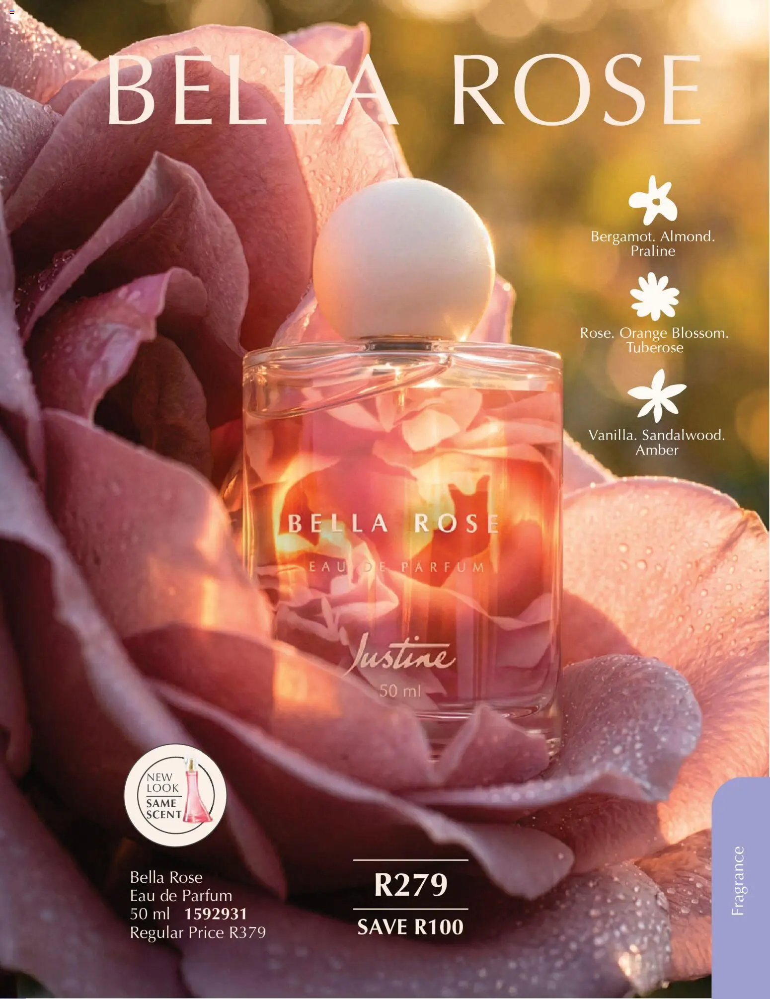 New Justine catalogue – valid from 01/10/2026 | Page: 7