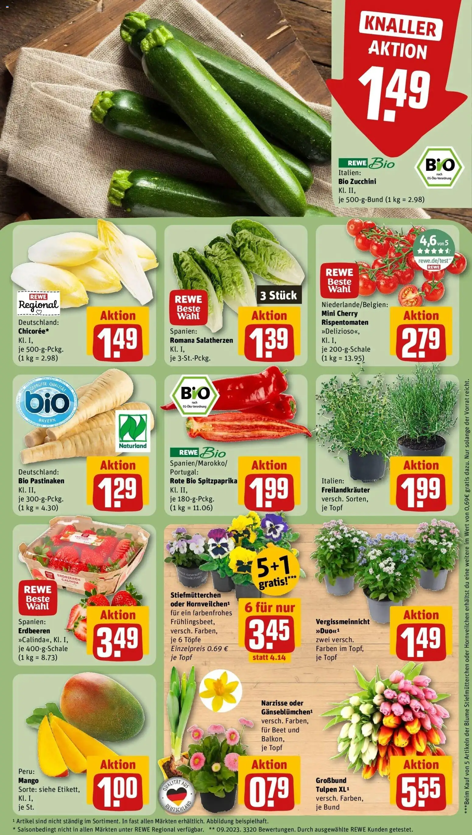 Rewe Prospekt Neunburg Vorm Wald	 – gültig ab 15.03.2026 | Seite: 9 | Produkte: Stiefmutterchen, Mango, Zucchini, Erdbeeren