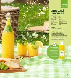 Náhled letáku Albert magazín od 01.05.2026 | Strana: 17 | Produkty: Lžíce, Džus, Pomeranče, Citróny