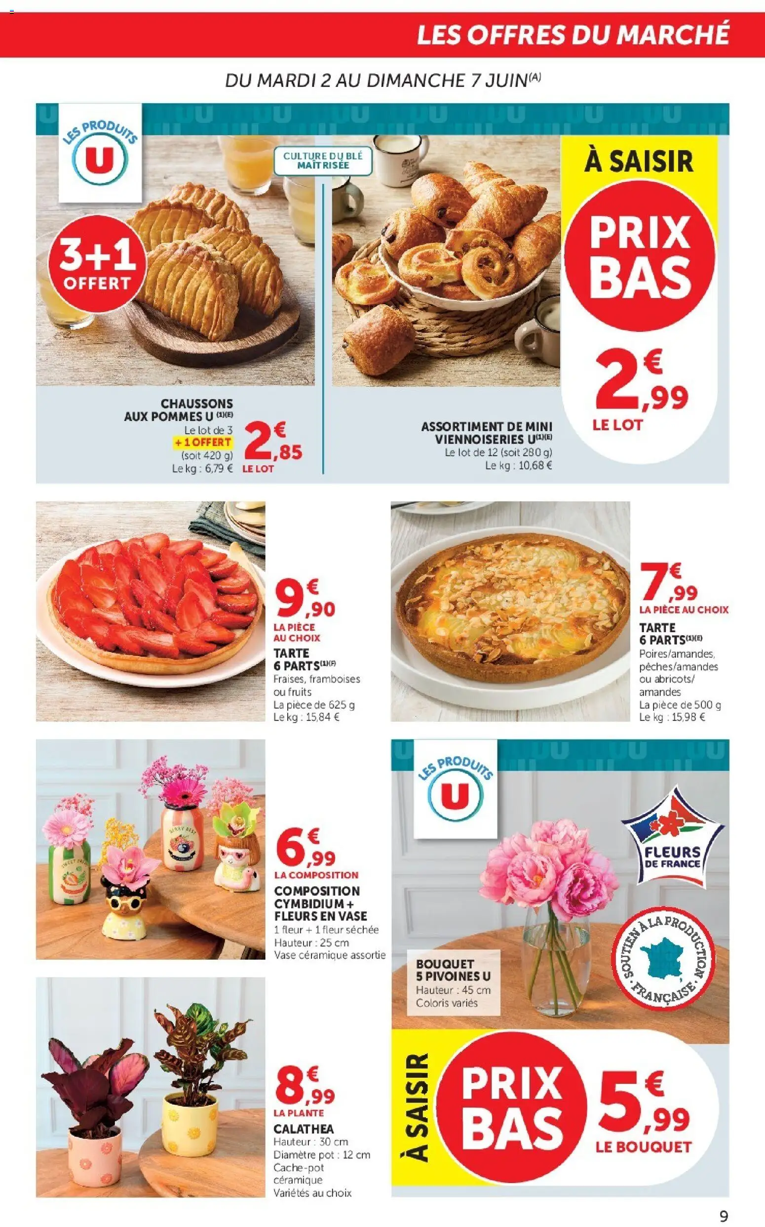 {H1} | Page: 9 | Produits: Viennoiseries, Pommes, Chaussons, Amandes