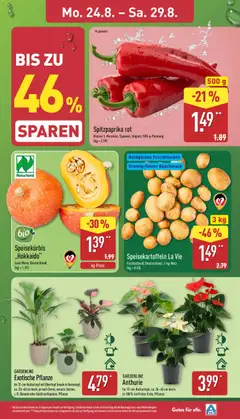Aldi Prospekt ab 24.08.2026 gültig | Seite: 3