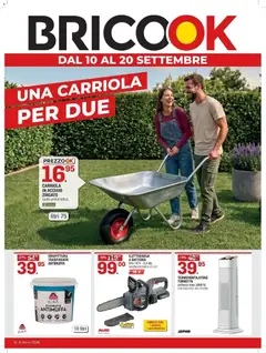 Anteprima del volantino Brico OK volantino Una carriola per due valido a partire dal 10/09/2026