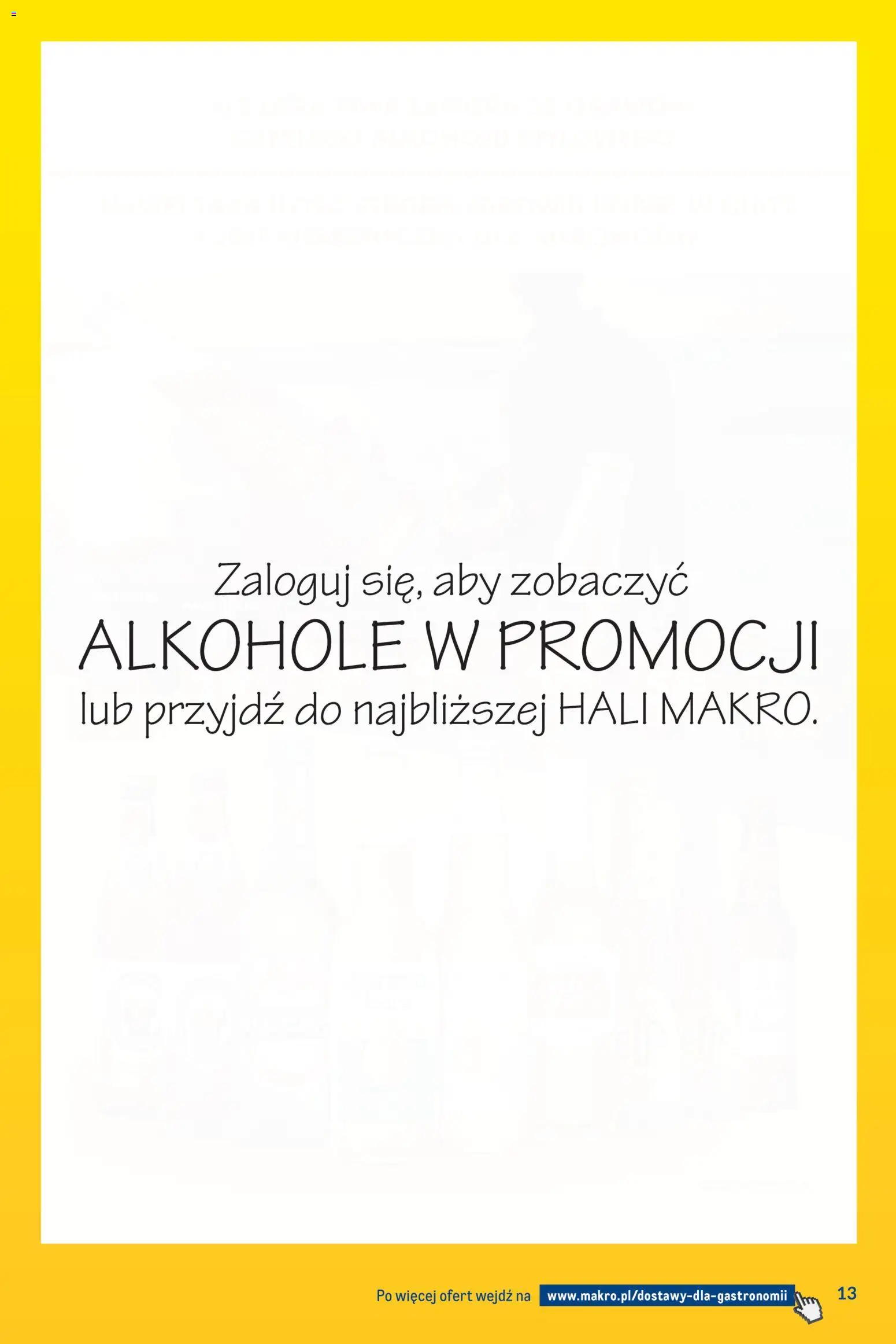 Makro gazetka - Dostawy dla gastronomii od 04.05.2026 | Strona: 13