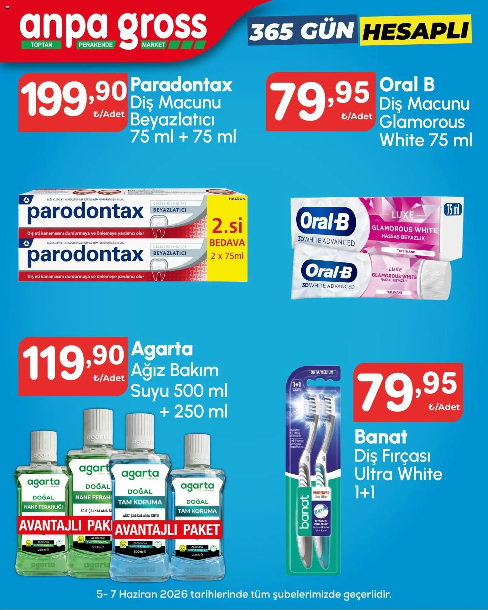 Anpa Gross Katalog - 05.06.2026 tarihinden itibaren geçerlidir | Sayfa: 15 | Ürünler: Diş macunu, Diş fırçası, Nane