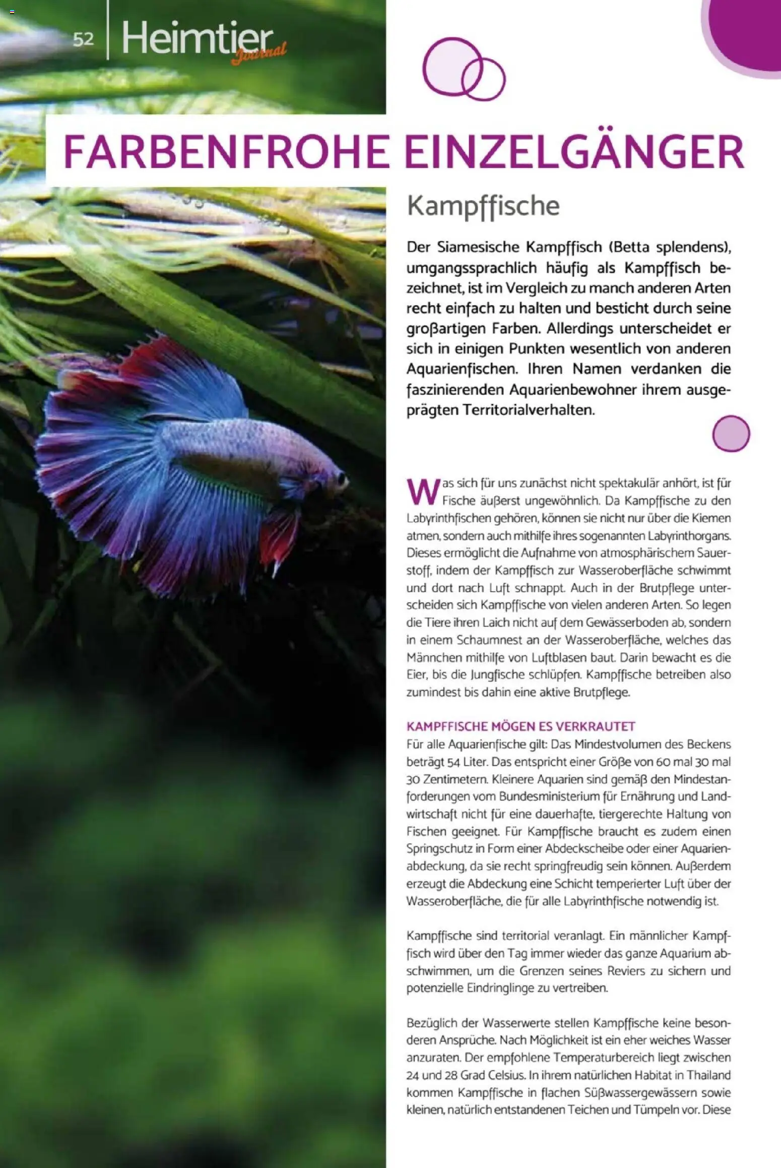 zookauf Heimtier Journal – gültig ab 01.06.2026 | Seite: 52 | Produkte: Fisch, Wasser