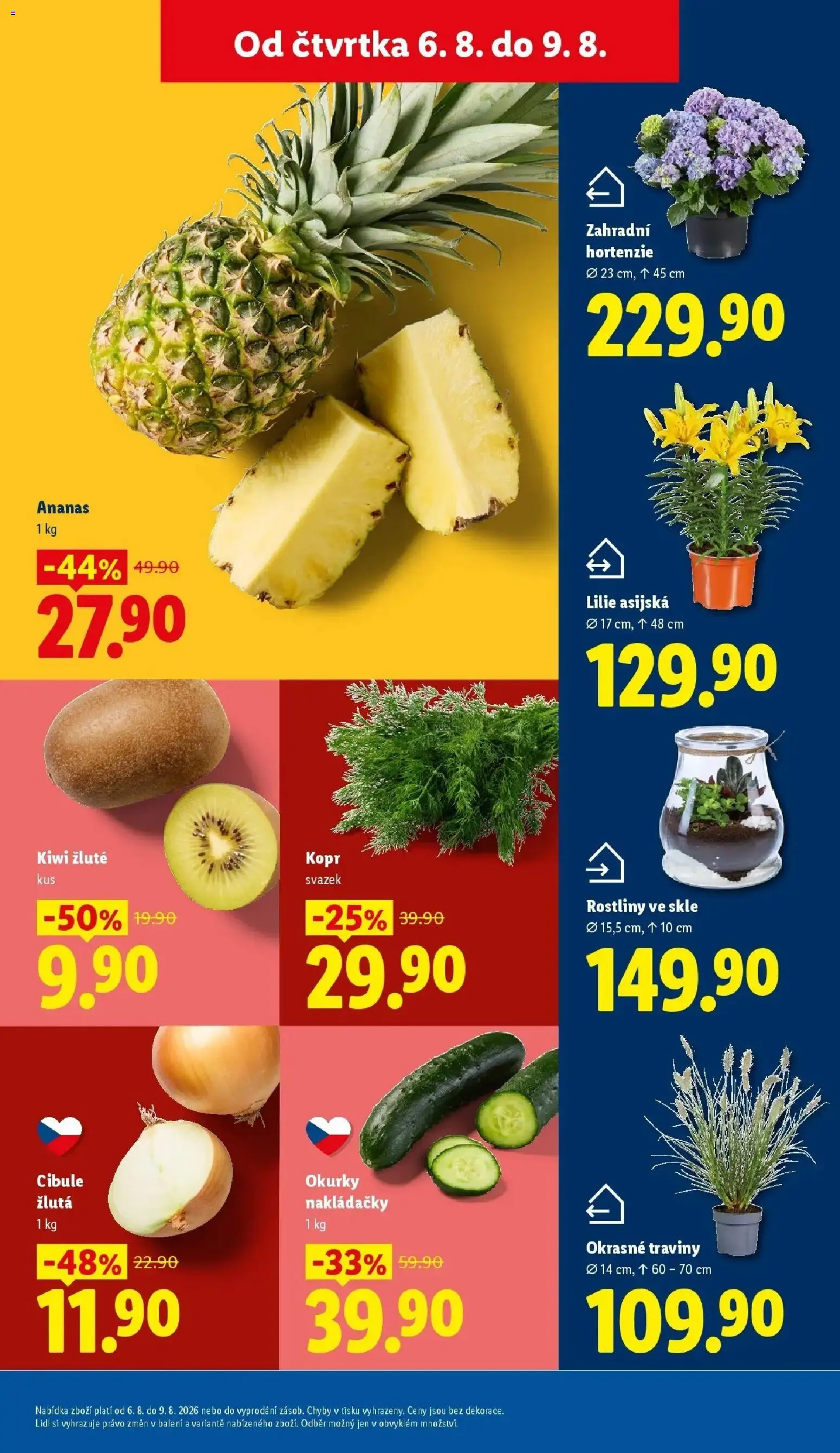 Lidl aktuální leták od 06.08.2026 | Strana: 13 | Produkty: Kiwi, Okurky nakládačky, Rostliny, Cibule