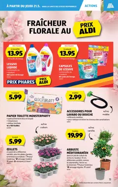 Aldi aktionen FR ab 21.05.2026 gültig | Seite: 13 | Produkte: Toilette, Toilettenpapier