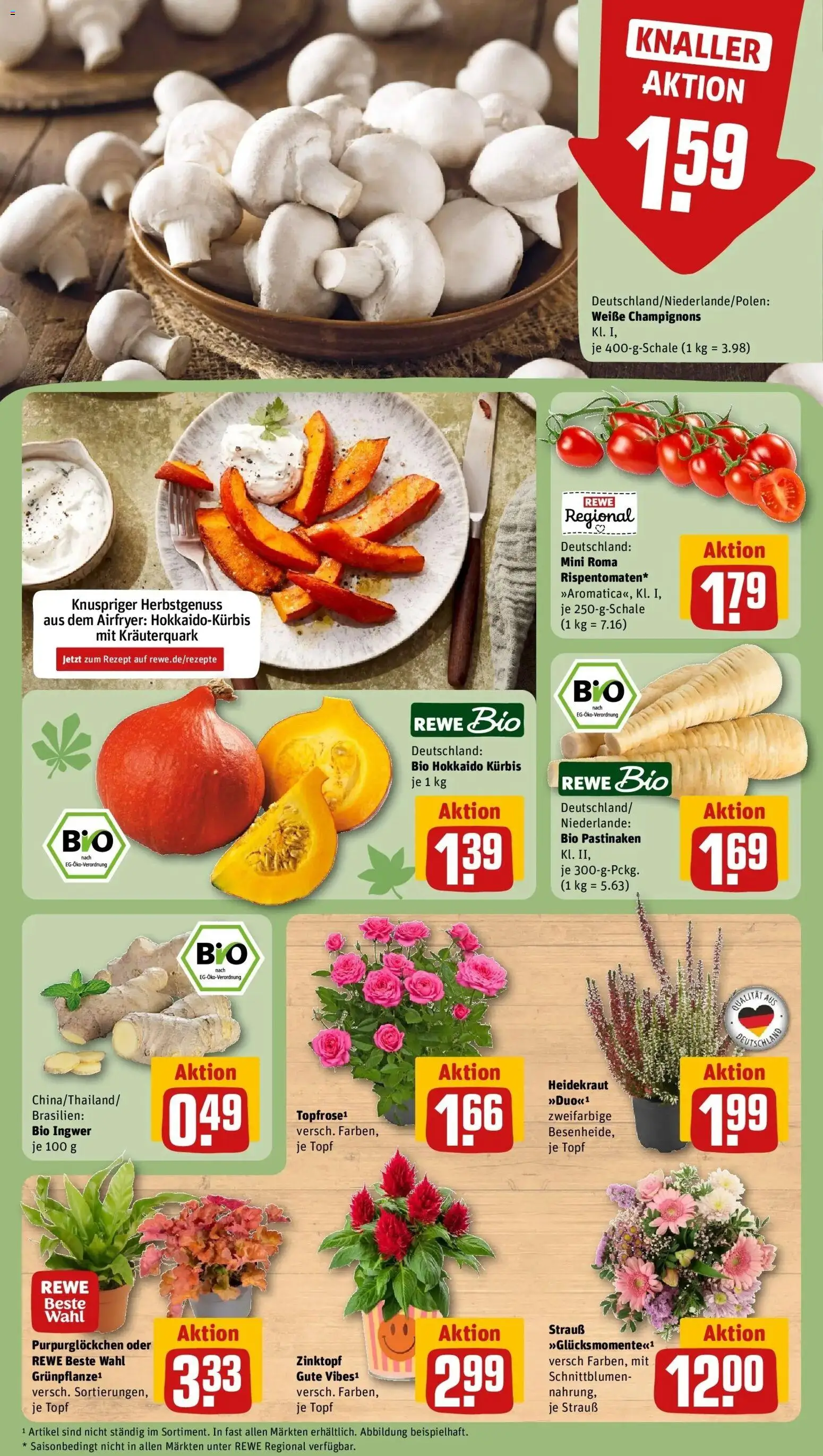 REWE Prospekt ab 28.09.2026 zum Blättern » Angebote | Seite: 13 | Produkte: Champignons, Kürbis